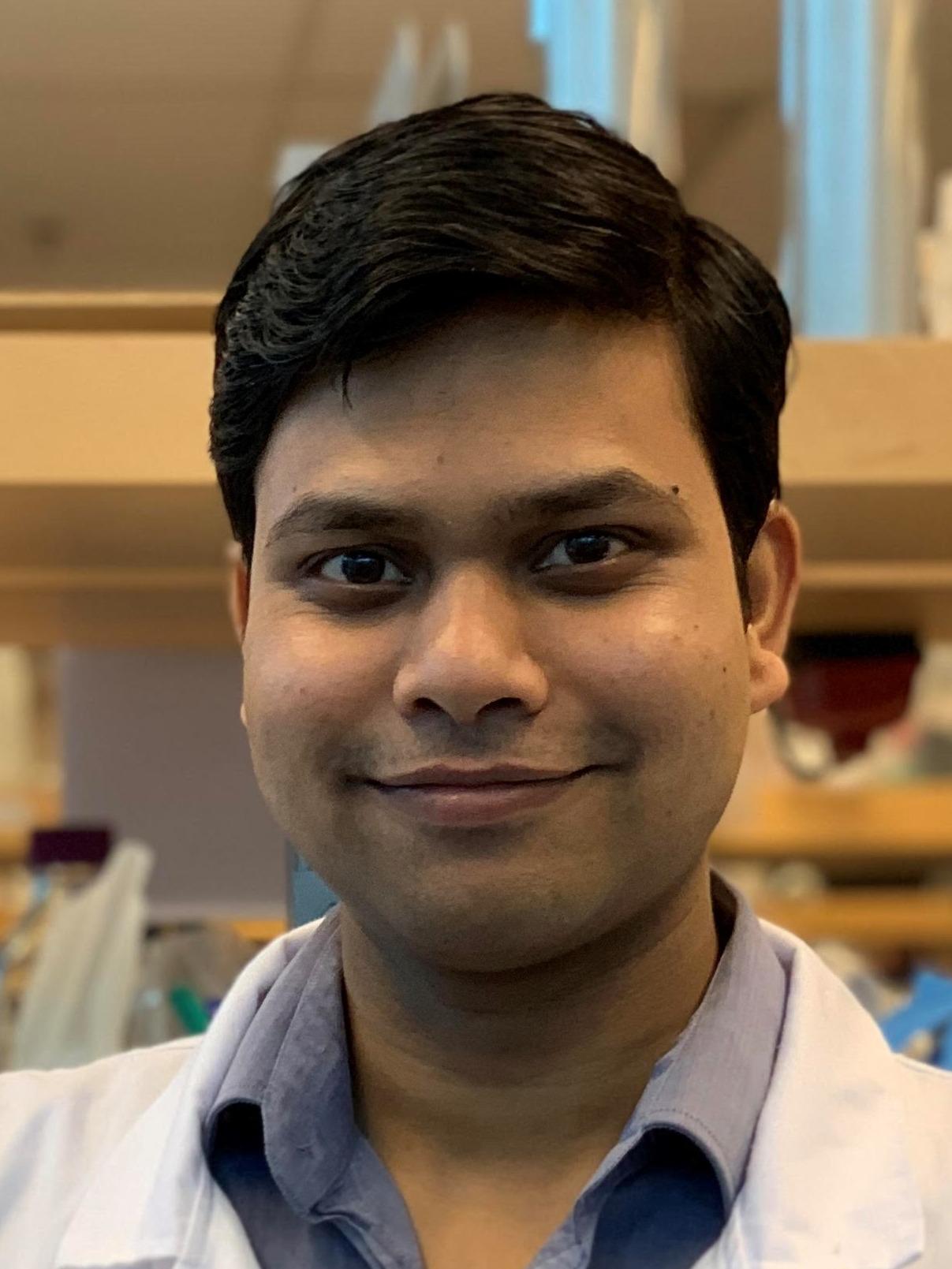 Prof. Ronit Mandal